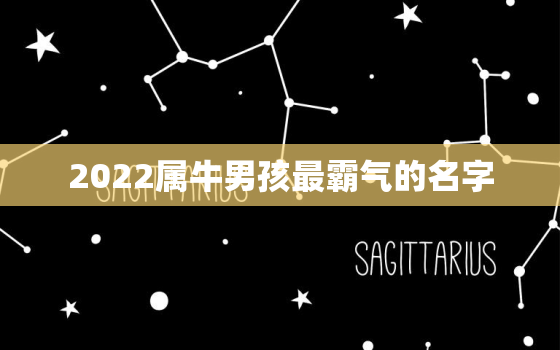 2022属牛男孩最霸气的名字，2021属牛女孩名字洋气的