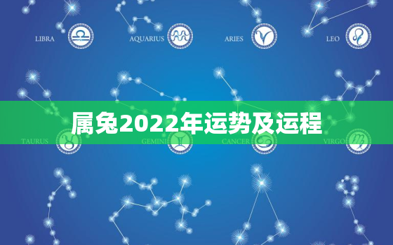 属兔2022年运势及运程，属兔2022年运势及运程搜狐网