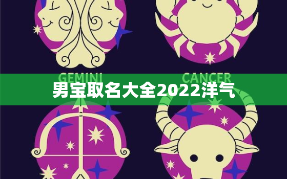 男宝取名大全2022洋气，男宝宝名字大全2021洋气