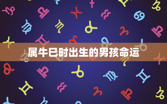 属牛巳时出生的男孩命运，申时出生属牛男孩命运