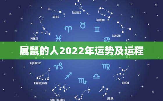 属鼠的人2022年运势及运程，2022年属鼠运势大全