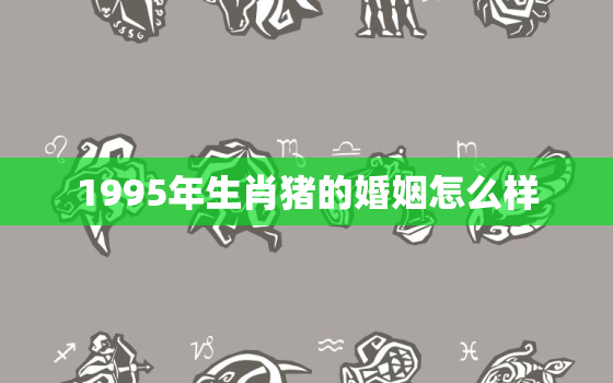 1995年生肖猪的婚姻怎么样，1995属猪的命运与婚姻男