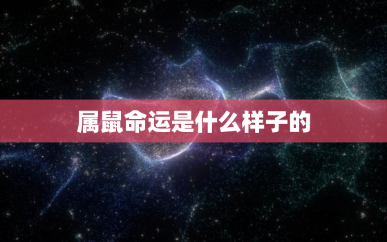 属鼠命运是什么样子的，属鼠命运属鼠的运气