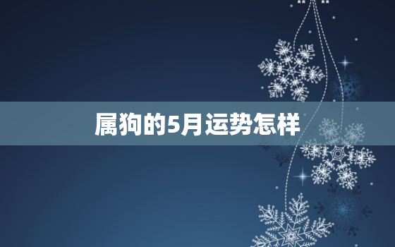 属狗的5月运势怎样，属狗的5月份运势如何