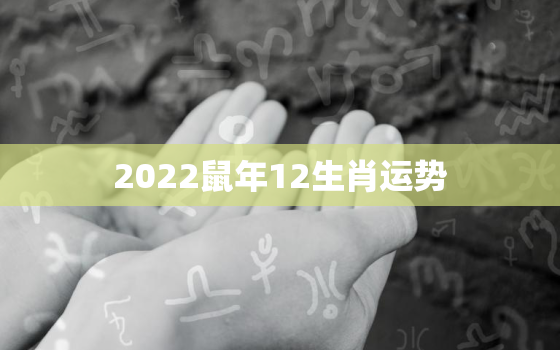 2022鼠年12生肖运势，2022属鼠人运势