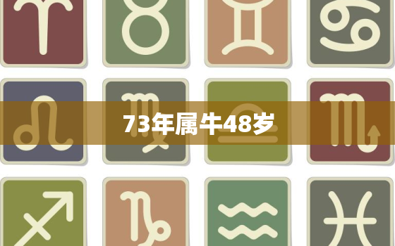 73年属牛48岁，73年属牛48岁是什么命