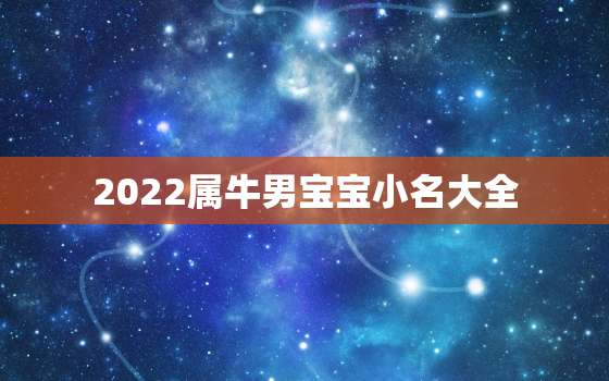 2022属牛男宝宝小名大全，男孩子小名大全2020属牛