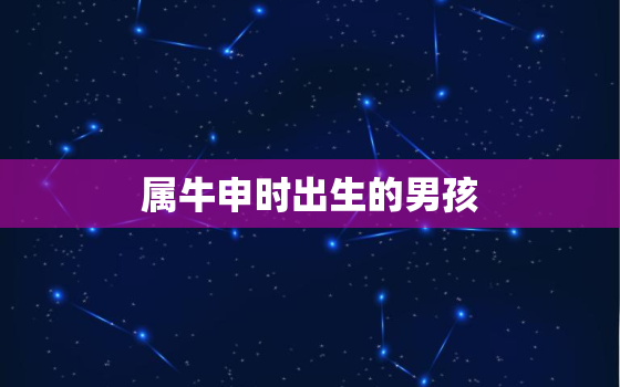 属牛申时出生的男孩，属牛申时出生的男孩命运