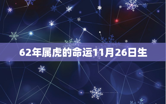 62年属虎的命运11月26日生，62年十二月属虎的人