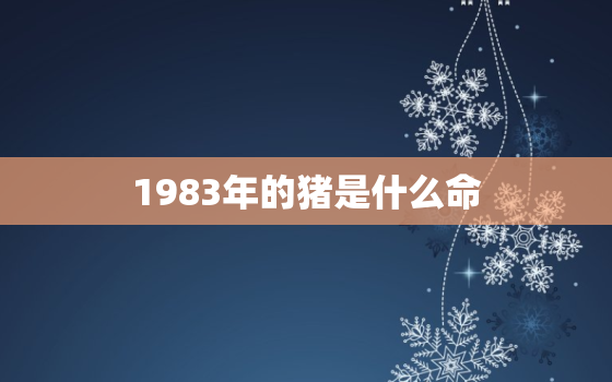 1983年的猪是什么命，1983年的猪是什么命里缺什么