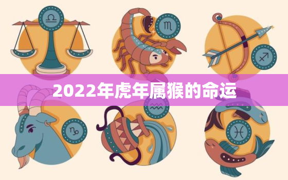 2022年虎年属猴的命运，猴在虎年运势2021运势详解