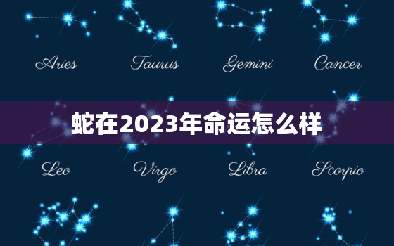 蛇在2023年命运怎么样，属蛇人2023年运势如何