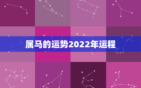 属马的运势2022年运程，2022年属马运势详解