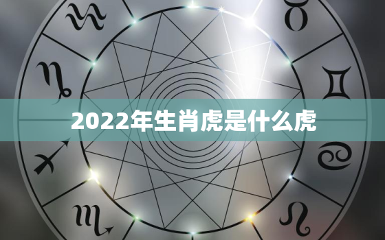 2022年生肖虎是什么虎，2022生肖虎什么命