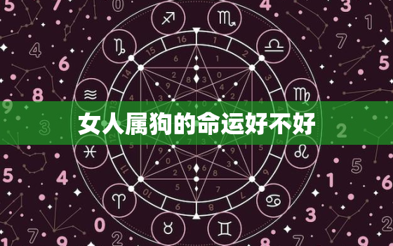 女人属狗的命运好不好，属狗女命运好不好总运概述