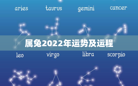 属兔2022年运势及运程，属兔2022年运势及运程搜狐网