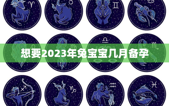 想要2023年兔宝宝几月备孕，想2023年生的兔宝宝几月备孕