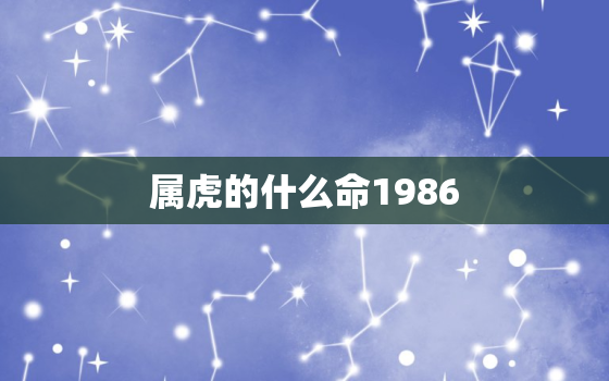 属虎的什么命1986，属虎的什么命1998