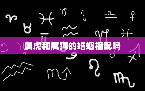 属虎和属狗的婚姻相配吗，属虎与属狗婚配好不好