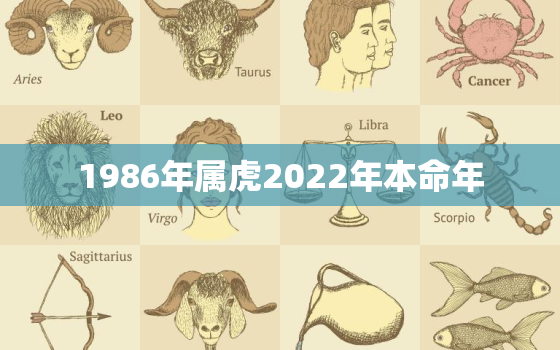 1986年属虎2022年本命年，1986年属虎2022年本命年运势如何