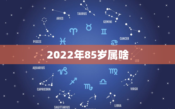 2022年85岁属啥，85年2021年多少岁