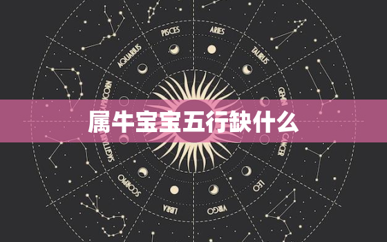 属牛宝宝五行缺什么，五行缺火的牛宝宝男孩名字