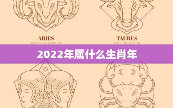 2022年属什么生肖年，2022年属什么生肖年五行