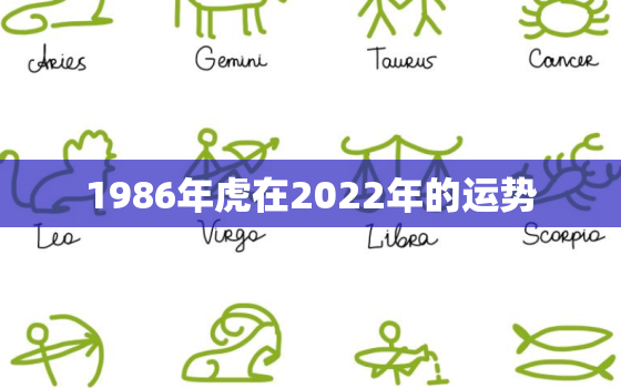 1986年虎在2022年的运势，1986年的虎在2022年怎么样