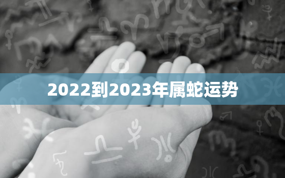 2022到2023年属蛇运势，2022年属蛇人运势