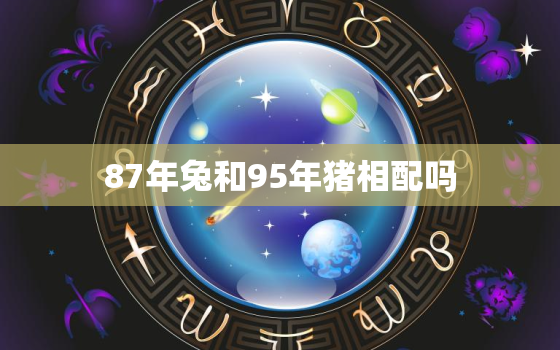 87年兔和95年猪相配吗，87年男兔和95年女猪