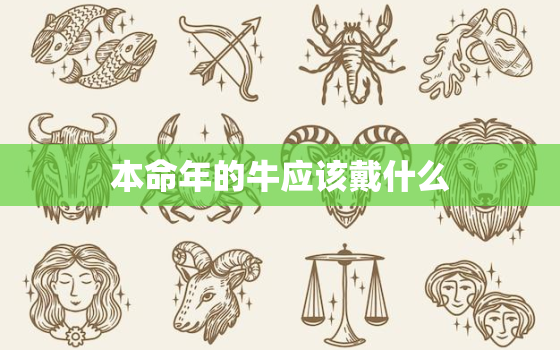 本命年的牛应该戴什么，本命年牛佩戴什么