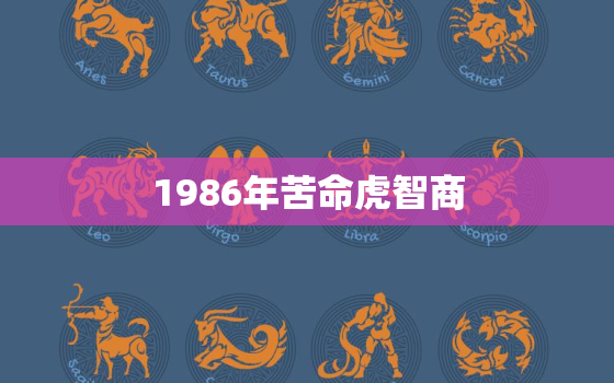 1986年苦命虎智商，1986年属虎人的命运怎么样