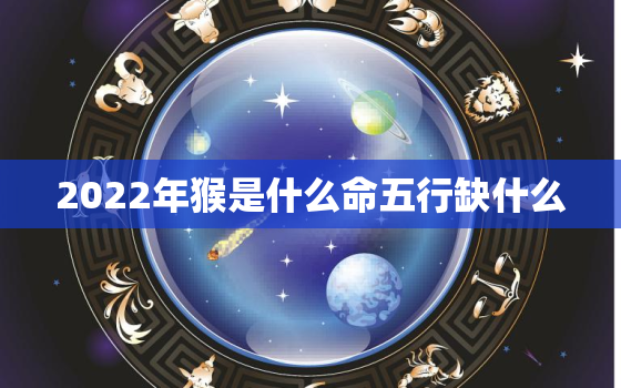 2022年猴是什么命五行缺什么，属猴的在2022年的运程是怎么样