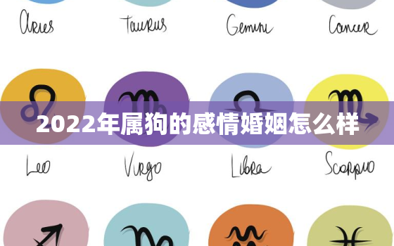 2022年属狗的感情婚姻怎么样，2021年属狗的婚姻状况