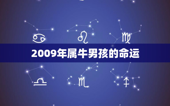 2009年属牛男孩的命运，2009年属牛的孩子运势