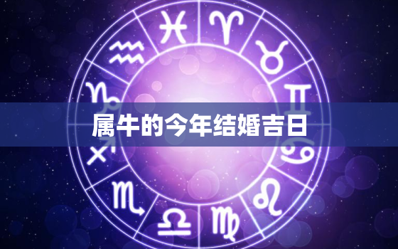 属牛的今年结婚吉日，属牛的牛年能结婚吗