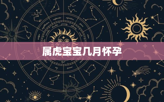 属虎宝宝几月怀孕，生属虎的孩子应该什么时候怀孕