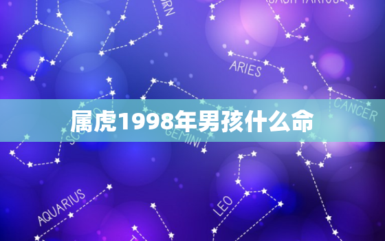 属虎1998年男孩什么命，1998年出生的虎是什么命