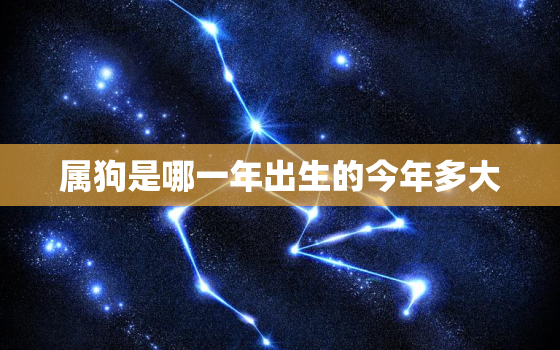 属狗是哪一年出生的今年多大，属狗的那几年出生的