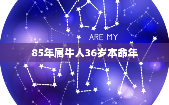 85年属牛人36岁本命年，85年属牛36岁命运