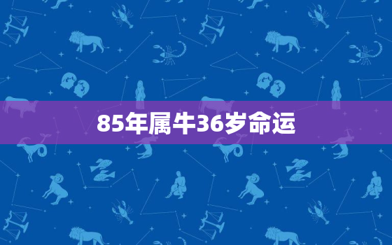 85年属牛36岁命运，1985年属牛35岁的命运