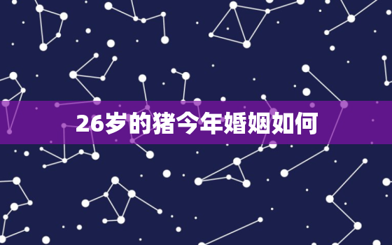 26岁的猪今年婚姻如何，今年26岁属猪是什么命