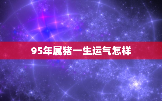 95年属猪一生运气怎样，95年属猪一生运势