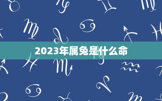 2023年属兔是什么命，2023年属兔是什么命女