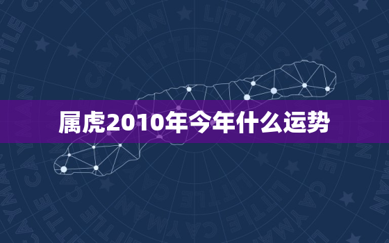 属虎2010年今年什么运势，2010年属虎人一生的命运