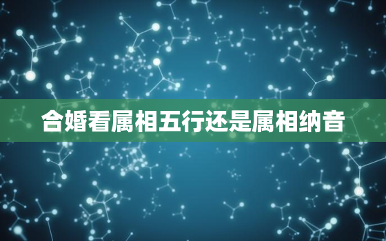 合婚看属相五行还是属相纳音，相生相克看五行还是纳音