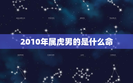 2010年属虎男的是什么命，2010年出生是什么命