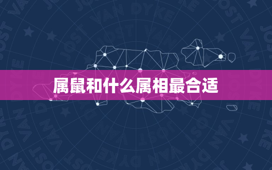 属鼠和什么属相最合适 最合财，属鼠和属什么的最合适呢