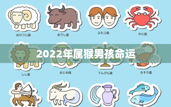 2022年属猴男孩命运，2022年属猴的运程