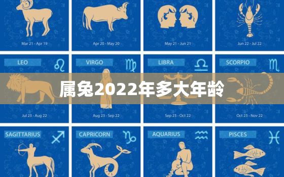 属兔2022年多大年龄，属兔的多大年龄2020